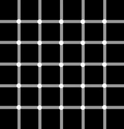 How Many Black Dots?